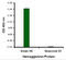 Hemagglutinin antibody, PM-4005, ProSci Inc, Enzyme Linked Immunosorbent Assay image 