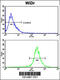 AXL Receptor Tyrosine Kinase antibody, 63-029, ProSci, Flow Cytometry image 