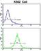 Complement Factor H Related 1 antibody, abx032899, Abbexa, Flow Cytometry image 