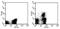 Integrin Subunit Alpha E antibody, 12-1031-82, Invitrogen Antibodies, Flow Cytometry image 