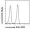 Argininosuccinate Synthase 1 antibody, NBP1-00153, Novus Biologicals, Flow Cytometry image 