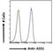 Citrulline--aspartate ligase antibody, NBP1-00153, Novus Biologicals, Flow Cytometry image 