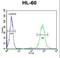 CD69 Molecule antibody, LS-C168556, Lifespan Biosciences, Flow Cytometry image 