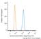 SRY-Box 10 antibody, NBP2-59621AF488, Novus Biologicals, Flow Cytometry image 