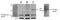 NME/NM23 Nucleoside Diphosphate Kinase 6 antibody, GTX128818, GeneTex, Western Blot image 