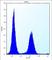 Ecto-NOX Disulfide-Thiol Exchanger 2 antibody, abx027114, Abbexa, Western Blot image 