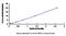 Mannose Receptor C Type 2 antibody, MBS2019042, MyBioSource, Enzyme Linked Immunosorbent Assay image 