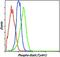 Signal Transducer And Activator Of Transcription 6 antibody, PA5-17902, Invitrogen Antibodies, Flow Cytometry image 