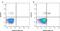 CD200 Molecule antibody, MCA1960A488, Bio-Rad (formerly AbD Serotec) , Flow Cytometry image 