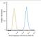 RNA Polymerase II Subunit A antibody, GTX80341, GeneTex, Flow Cytometry image 