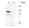 Pantothenate Kinase 4 antibody, NBP2-60782, Novus Biologicals, Western Blot image 