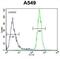 Putative golgin subfamily A member 2B antibody, abx025788, Abbexa, Flow Cytometry image 