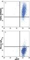 G Protein-Coupled Bile Acid Receptor 1 antibody, FAB4286A, R&D Systems, Flow Cytometry image 