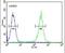 ERCC Excision Repair 6 Like 2 antibody, PA5-23676, Invitrogen Antibodies, Flow Cytometry image 