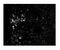 Zinc Finger E-Box Binding Homeobox 2 antibody, 27-923, ProSci, Immunohistochemistry paraffin image 