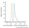 SRY-Box 10 antibody, NBP2-47709AF488, Novus Biologicals, Flow Cytometry image 