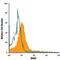 Brain Derived Neurotrophic Factor antibody, MA5-23665, Invitrogen Antibodies, Flow Cytometry image 