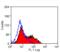 CD1b3 antibody, MCA566GA, Bio-Rad (formerly AbD Serotec) , Flow Cytometry image 