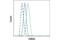 Family With Sequence Similarity 3 Member C antibody, 15171S, Cell Signaling Technology, Flow Cytometry image 