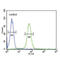 Immunoglobulin Heavy Constant Gamma 1 (G1m Marker) antibody, abx026012, Abbexa, Flow Cytometry image 