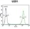 Glycosylphosphatidylinositol Anchor Attachment 1 antibody, abx025871, Abbexa, Western Blot image 