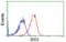 Erb-B2 Receptor Tyrosine Kinase 3 antibody, orb256520, Biorbyt, Flow Cytometry image 