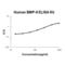 Growth Differentiation Factor 2 antibody, EK1560, Boster Biological Technology, Enzyme Linked Immunosorbent Assay image 