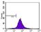 ATP Binding Cassette Subfamily A Member 1 antibody, NB400-105AF405, Novus Biologicals, Flow Cytometry image 