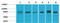 Mitogen-Activated Protein Kinase 7 antibody, STJ97385, St John