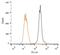 RAD51 Paralog C antibody, GTX30137, GeneTex, Flow Cytometry image 