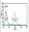 Isocitrate Dehydrogenase (NAD(+)) 3 Gamma antibody, PA5-26798, Invitrogen Antibodies, Flow Cytometry image 