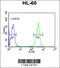 Keratin 9 antibody, 62-813, ProSci, Flow Cytometry image 