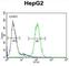 S100 Calcium Binding Protein Z antibody, abx025808, Abbexa, Western Blot image 