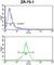 ATP Synthase F1 Subunit Gamma antibody, abx034290, Abbexa, Western Blot image 