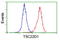 TSC22 Domain Family Member 1 antibody, LS-C174122, Lifespan Biosciences, Flow Cytometry image 