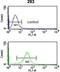 Nucleoporin 153 antibody, GTX80552, GeneTex, Flow Cytometry image 