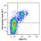 Interleukin 2 Receptor Subunit Beta antibody, 339010, BioLegend, Flow Cytometry image 