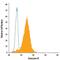 Granzyme B antibody, IC2906C, R&D Systems, Flow Cytometry image 