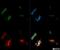 KI-67 antibody, NB110-89719, Novus Biologicals, Immunocytochemistry image 