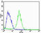 Adrenoceptor Alpha 1D antibody, LS-C344228, Lifespan Biosciences, Flow Cytometry image 