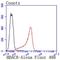 Histone Deacetylase 8 antibody, NBP2-67837, Novus Biologicals, Flow Cytometry image 