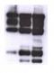 MAD2L1 Binding Protein antibody, orb76713, Biorbyt, Western Blot image 