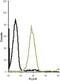 Cholecystokinin B Receptor antibody, PA5-77377, Invitrogen Antibodies, Flow Cytometry image 