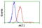 AKT Serine/Threonine Kinase 2 antibody, LS-C114859, Lifespan Biosciences, Flow Cytometry image 