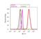 Mitogen-Activated Protein Kinase Kinase 1 antibody, 44-454G, Invitrogen Antibodies, Flow Cytometry image 