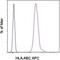 HLA class I histocompatibility antigen, A-69 alpha chain antibody, 17-9983-42, Invitrogen Antibodies, Flow Cytometry image 