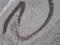 Methyl-CpG Binding Protein 2 antibody, 814004, BioLegend, Immunohistochemistry paraffin image 