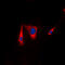 Kinase Suppressor Of Ras 1 antibody, abx133150, Abbexa, Western Blot image 