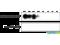 LIM Domain Kinase 1 antibody, SPC-1007D-HRP, StressMarq, Dot Blot image 