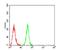 Bone Morphogenetic Protein 2 antibody, NBP2-52422, Novus Biologicals, Flow Cytometry image 